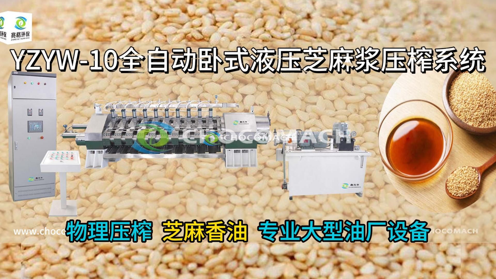 YZYW-10缸组芝麻榨油机物理压榨芝麻香油