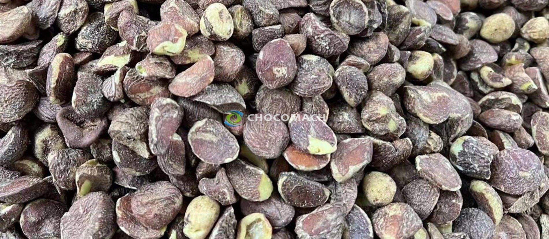 特色油料低温液压压榨系统