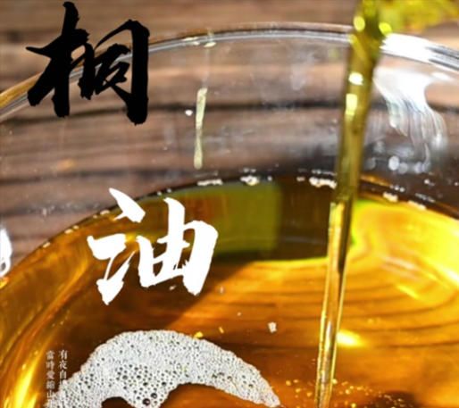 山桐子油功能性品质研究：原油综合得分高，工艺选择看这篇