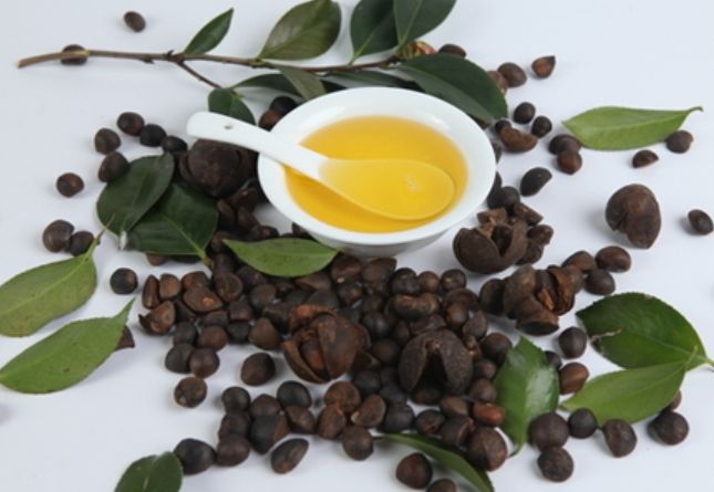 兆格科普丨加热会让油茶籽油的气味发生什么变化?